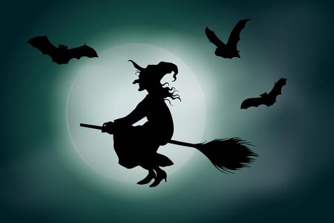 Witch on a broom