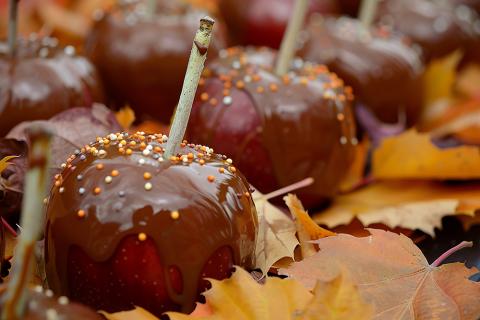 Chocolate dipped apples