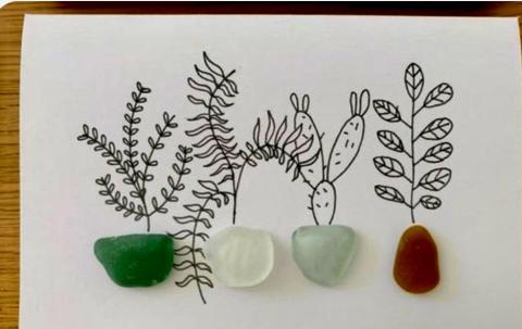 sea glass plants