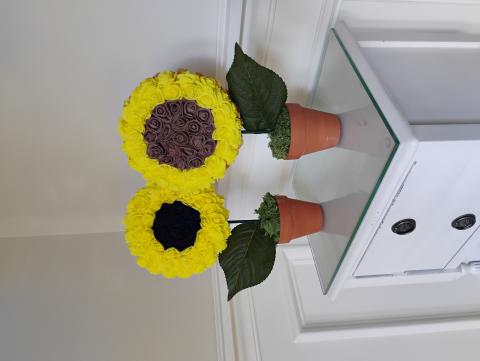 sunflower in a pot