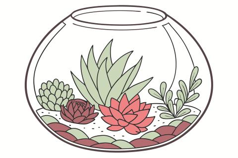 summer terrarium