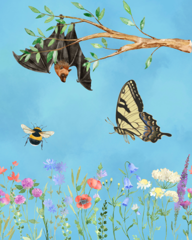 bat bee and butterfly in the sky