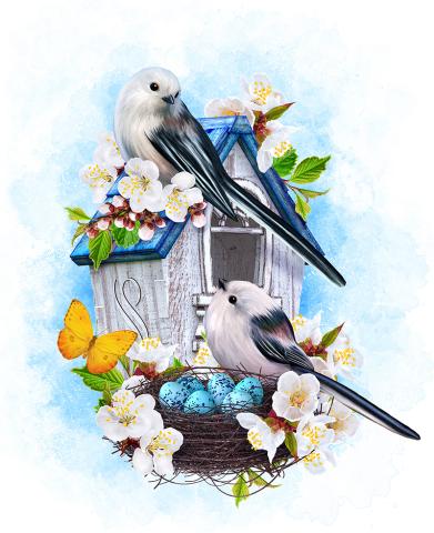 birds