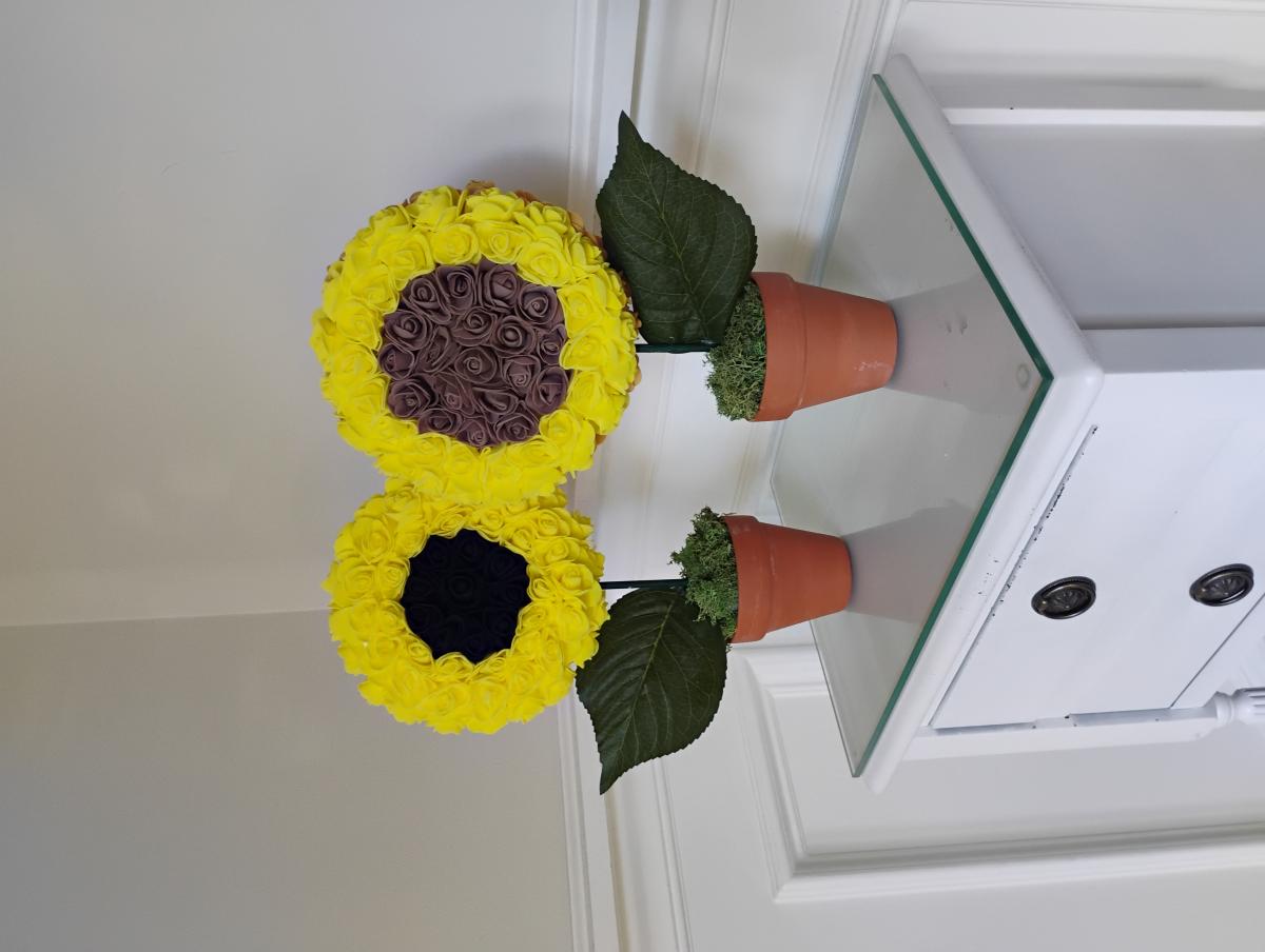 sunflower in a pot